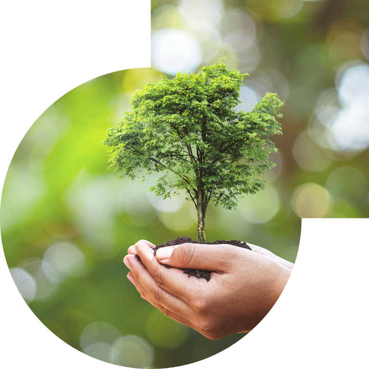 關懷人類、文化、環境與社會